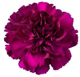 Carnations Hat Box