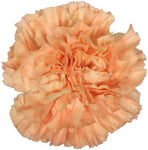 Carnations Hat Box