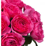 Cerise Luxury Garden Roses Bouquet - Flowers Box London