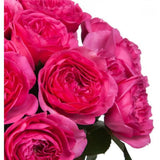 Cerise Luxury Garden Roses Bouquet - Flowers Box London