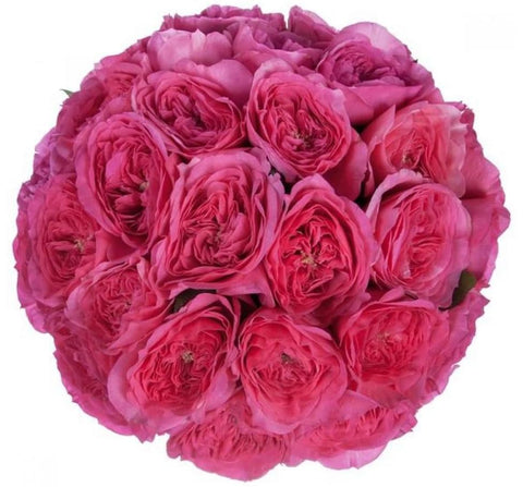 Cerise Luxury Garden Roses Bouquet - Flowers Box London