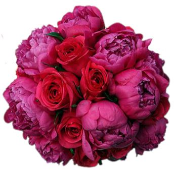 Cerise Peonies and Red Roses Bouquet