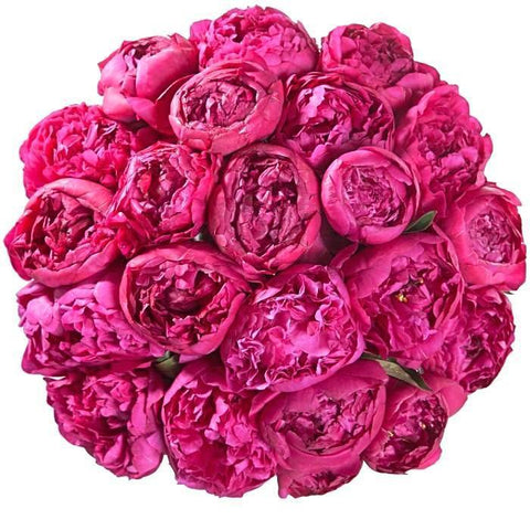 Cerise Peonies Bouquet - Flowers Box London