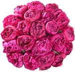 Cerise Peonies Bouquet