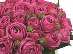 Cerise Spray Roses Hat Box