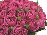 Cerise Spray Roses Hat Box