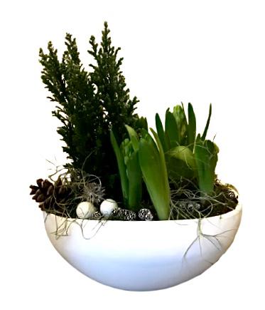 Christmas Pot with Hyacinth - Flowers Box London