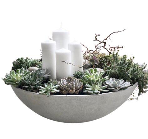 Christmas Succulents Arrangement - Flowers Box London