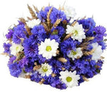 Chrysanthemum Daises and Cornflowers Bouquet - Flowers Box London