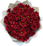 Chrysanthemum Daisy Red Bouquet - Flowers Box London