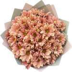 Chrysanthemum Daisy Salmon Bouquet