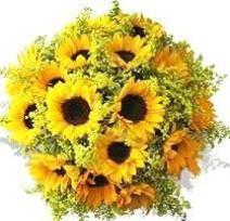 Citrus Twist Bouquet - Flowers Box London