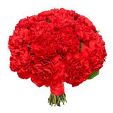 Classic Carnations Bridal Bouquet - Flowers Box London