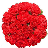 Classic Carnations Bridal Bouquet