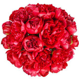 Classic Red Peonies Bouquet - Flowers Box London