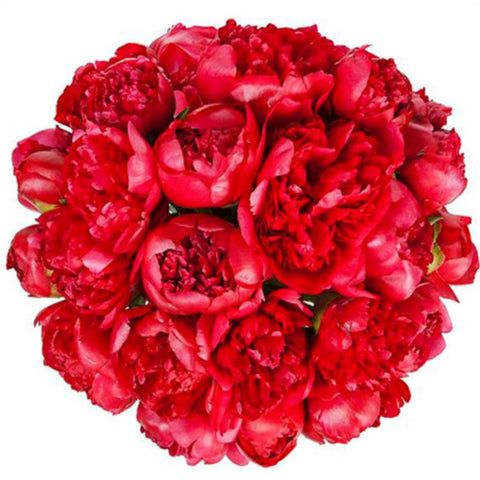 Classic Red Peonies Bouquet - Flowers Box London