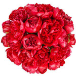 Classic Red Peonies Bouquet