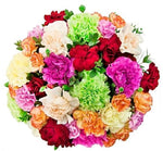 Colourful carnations bouquet