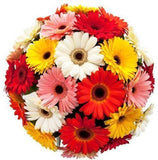 Colored Gerbera Bouquet - Flowers Box London