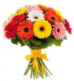 Colored Gerbera Bouquet - Flowers Box London