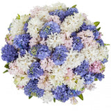 Colored Hyacinth Bouquet - Flowers Box London