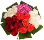 Colored Roses with Aspidistra Leaves