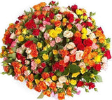 Colored Spray Roses Bouquet - Flowers Box London