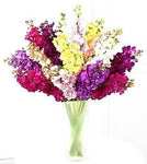 Colored Stock Bouquet