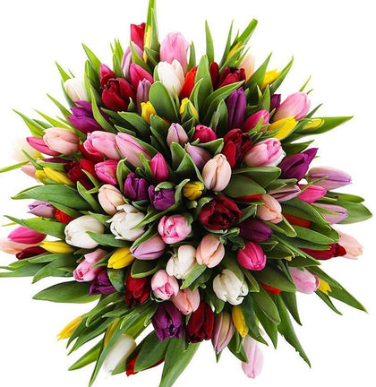 Multi colored tulips