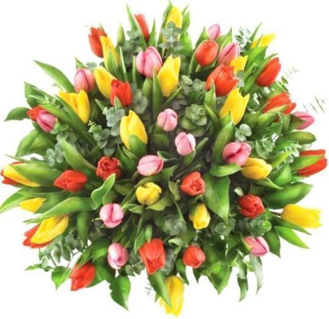 Colored Tulips with Eucalyptus
