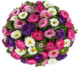 Colorful Aster Bouquet - Flowers Box London