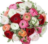 Colorful Dreams Bouquet - Flowers Box London
