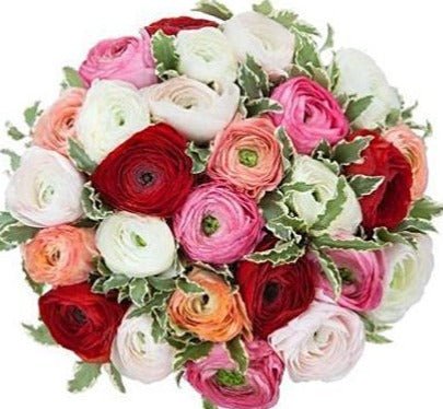 Colorful Dreams Bouquet - Flowers Box London