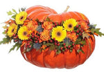 Colorful Magic Pumpkin - Flowers Box London