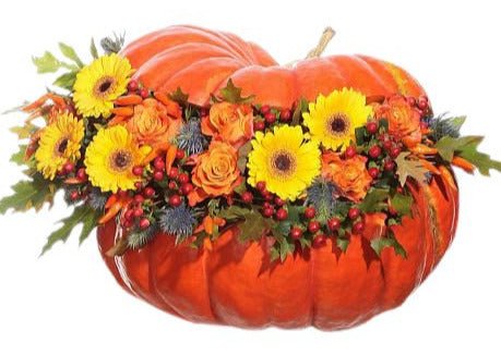 Colorful Magic Pumpkin - Flowers Box London