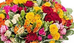Coloured Rain of Flowers Hat Box
