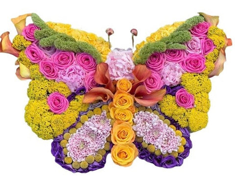 Colourful Butterfly