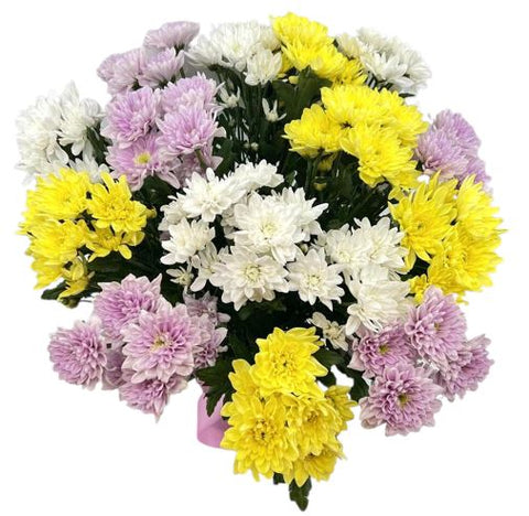 Colourful Chrysanthemum Bouquet