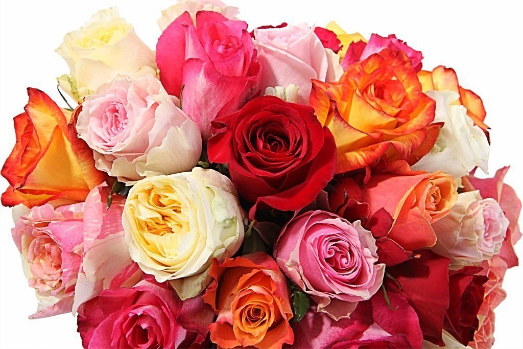 Colourful Roses in a Box - Fast Delivery Across the UK | Flowers Box London