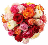 Colourful Roses in a Box - Flowers Box London