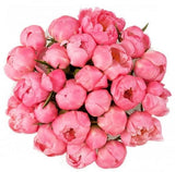 Coral Peonies Bouquet - Flowers Box London