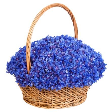 Cornflowers in Basket - Flowers Box London