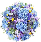 Craspedia Bouquet - Flowers Box London