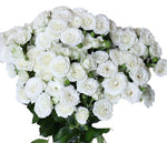 Cream Spray Roses Bridal Flow Fragrant Bouquet