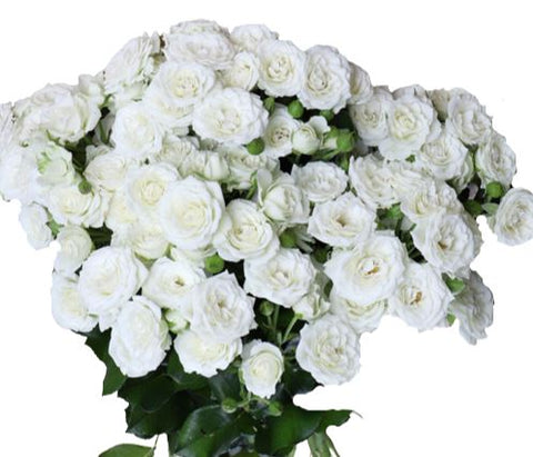 Cream Spray Roses Bridal Flow Fragrant Bouquet