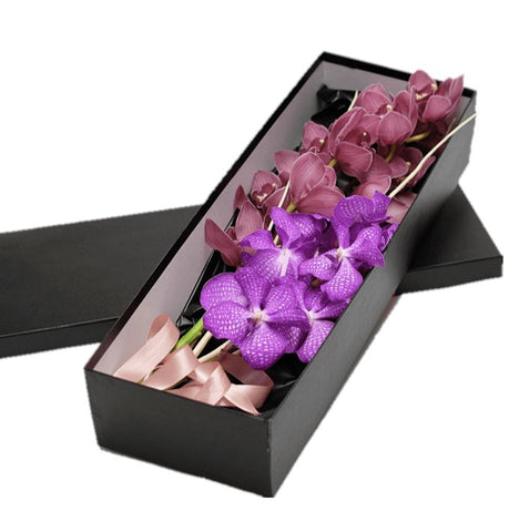 Cymbidium and Vanda Orchids Luxury Box