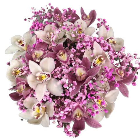Cymbidium Orchid Bouquet with Pink Gypsophila