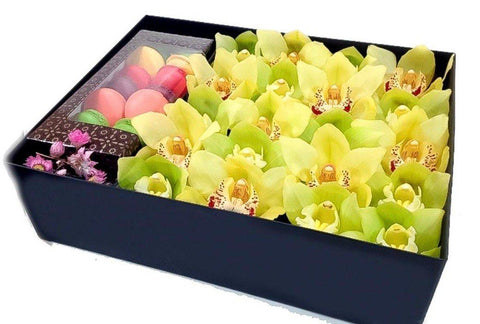 Cymbidium Orchid with Macaroons