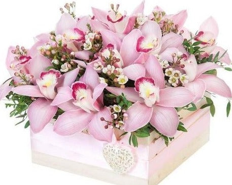 Cymbidium Orchids in a Box