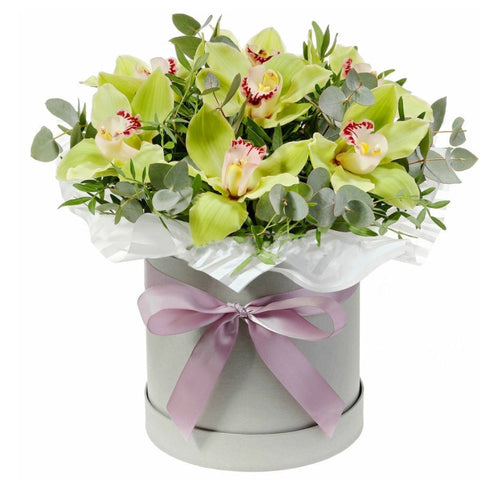 Cymbidium orchid and eucalyptus box